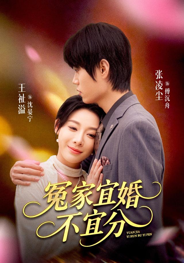 冤家宜婚不宜分(全集)